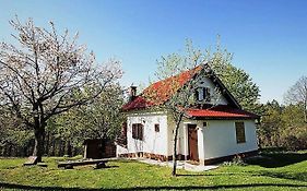 Holiday Home Coprnicka Hisa